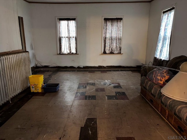 living area featuring radiator