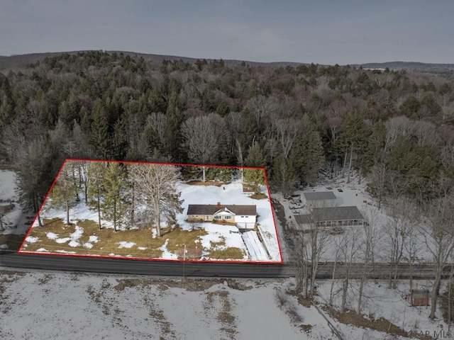 snowy aerial view featuring a wooded view