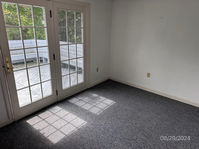 entryway featuring a wealth of natural light and carpet