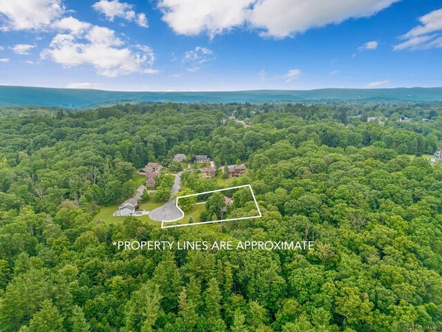 406 Stoney Ln, Johnstown, PA 15905 - photo 59