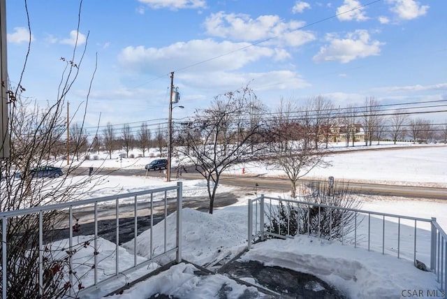 view of snowy yard