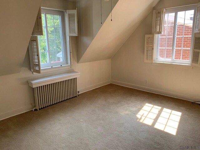 311311R Orchard St, Johnstown, PA 15905 - photo 15