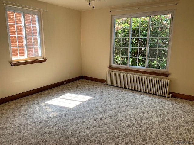 311311R Orchard St, Johnstown, PA 15905 - photo 8
