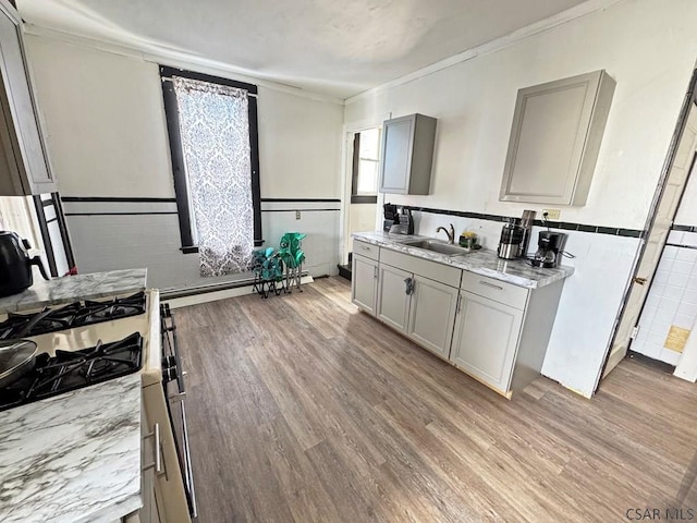 kitchen featuring gray cabinets, light hardwood / wood-style floors, and gas range