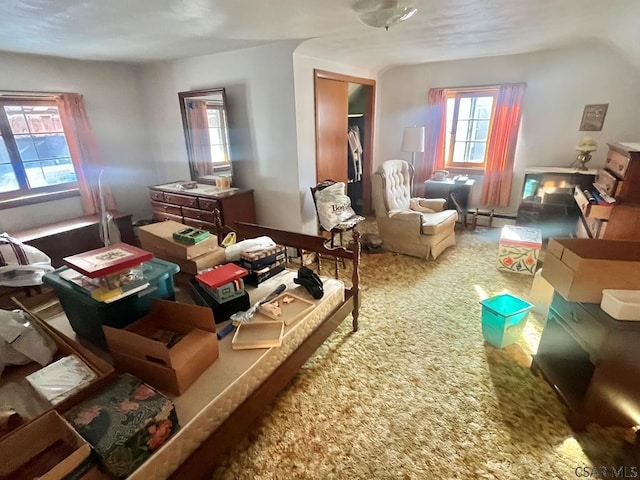 interior space featuring a baseboard heating unit, a healthy amount of sunlight, and carpet