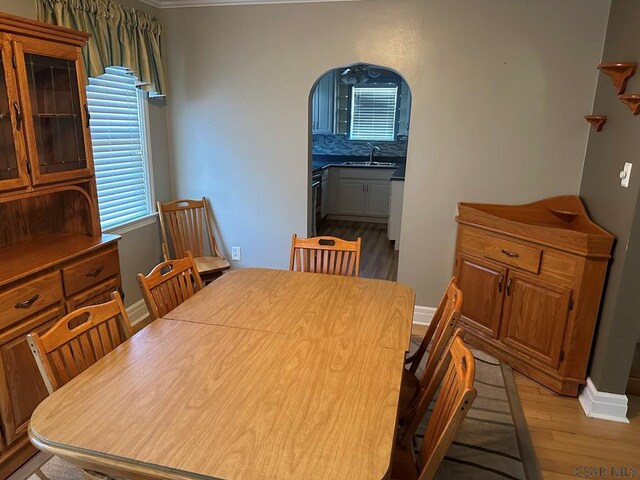 dining area featuring sink and light hardwood / wood-style flooring