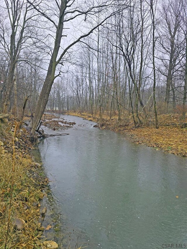 view of water feature