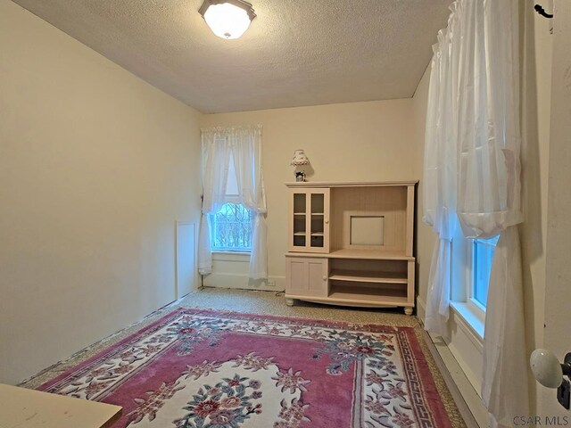 unfurnished room featuring a textured ceiling and carpet