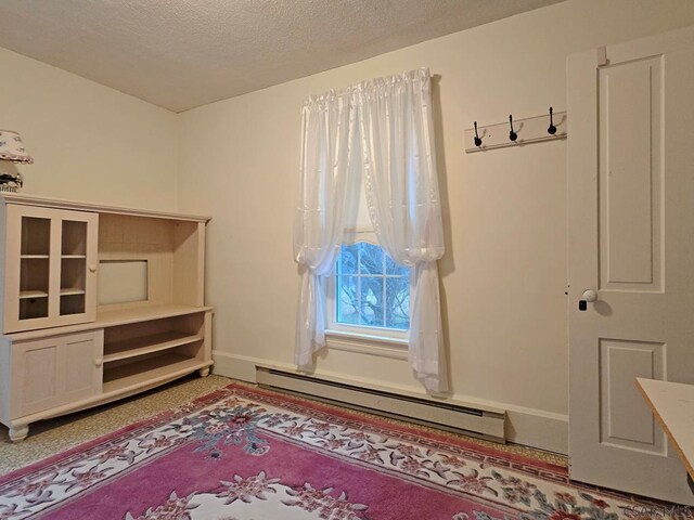 miscellaneous room with carpet, a textured ceiling, and baseboard heating