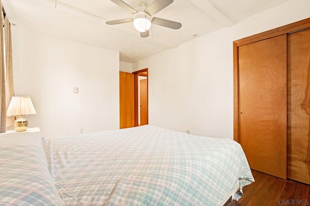 129 Berkey Dr, Johnstown, PA 15904 - bedroom with wood finished floors, a closet, and ceiling fan