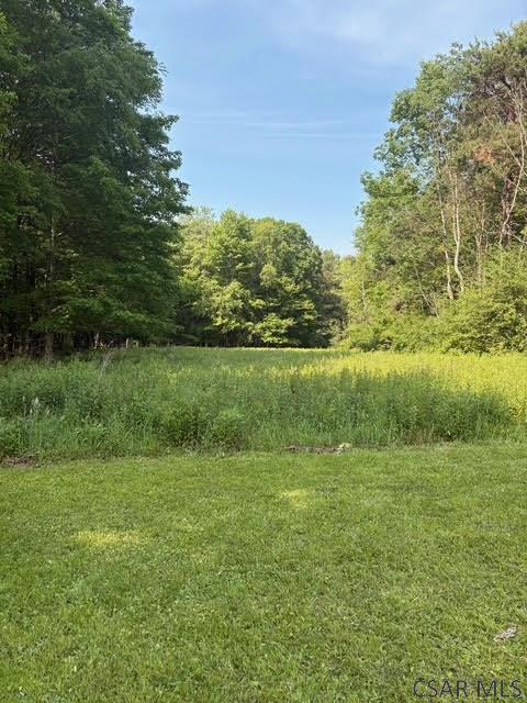 274 Old Bedford Pike, Windber, PA 15963 - photo 6