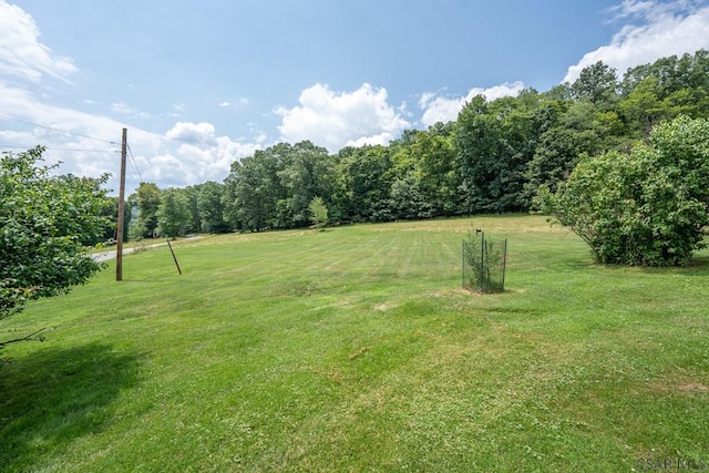328 Thatcher Rd, New Florence, PA 15944 - view of grassy yard
