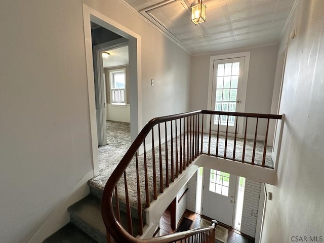 328 Thatcher Rd, New Florence, PA 15944 - stairway featuring plenty of natural light, attic access, and crown molding