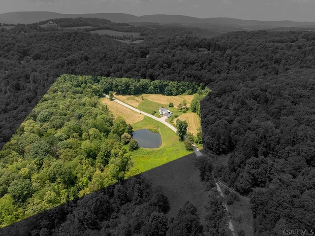 328 Thatcher Rd, New Florence, PA 15944 - aerial view of property and surrounding area featuring a forest and a nearby body of water