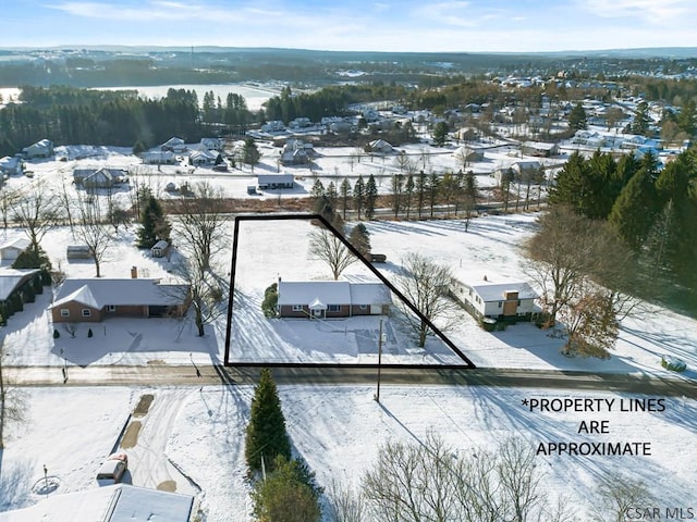 view of snowy aerial view