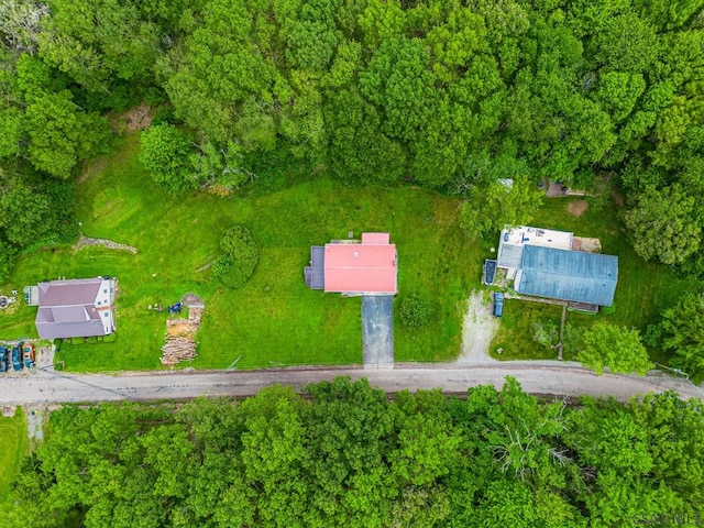 292 Old Shaffer Rd, Somerset, PA 15501 - photo 43