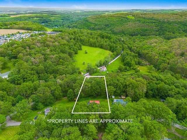 292 Old Shaffer Rd, Somerset, PA 15501 - photo 44
