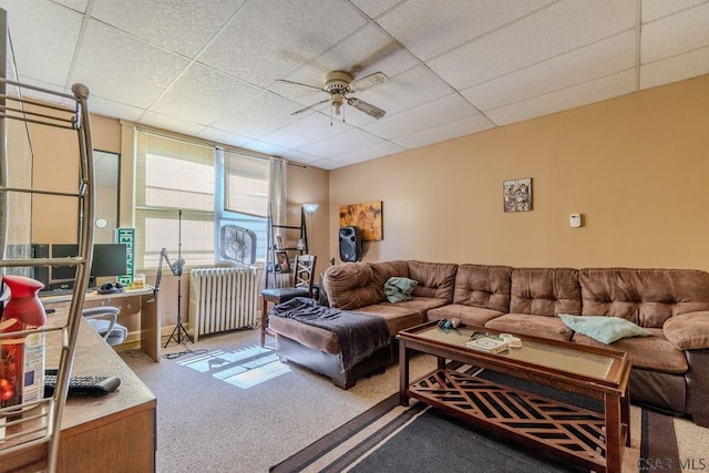 carpeted living room featuring radiator, a paneled ceiling, and ceiling fan