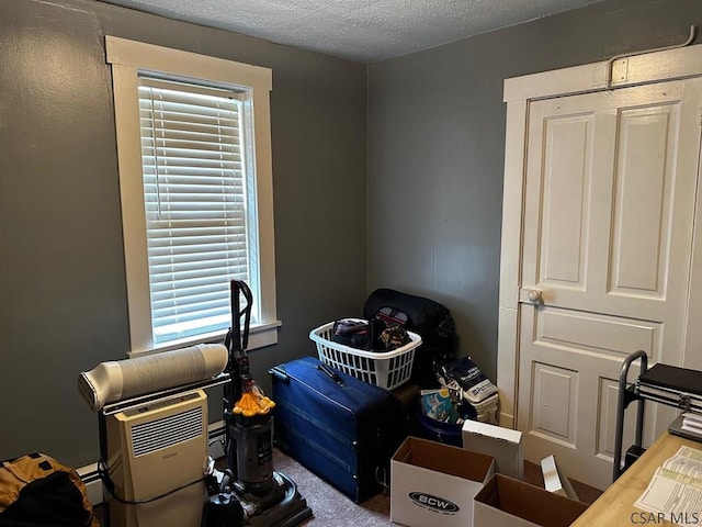913 Jefferson Ave, Portage, PA 15946 - misc room with healthy amount of natural light, carpet, and a textured ceiling