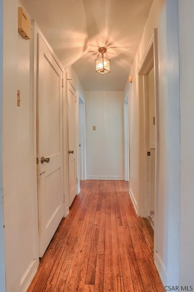 hall with light hardwood / wood-style flooring