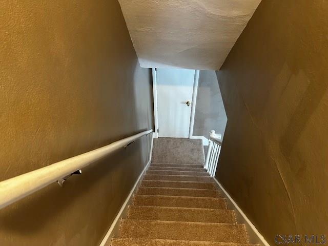 staircase with carpet flooring