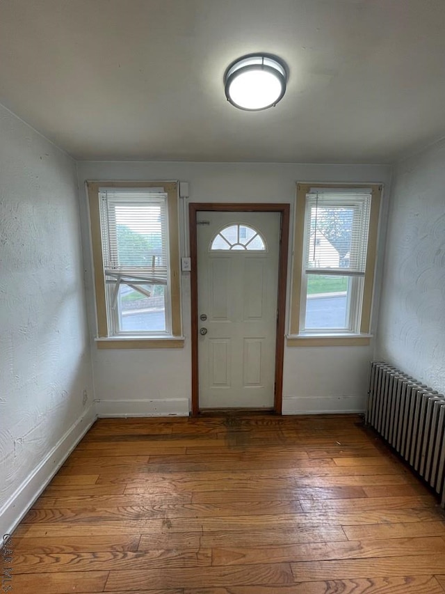 161 Stone St, Johnstown, PA 15906 - foyer with radiator heating unit, healthy amount of natural light, hardwood / wood-style flooring, and baseboards