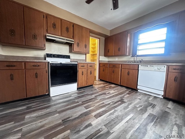 kitchen with under cabinet range hood, range with electric stovetop, wood finished floors, a sink, and dishwasher