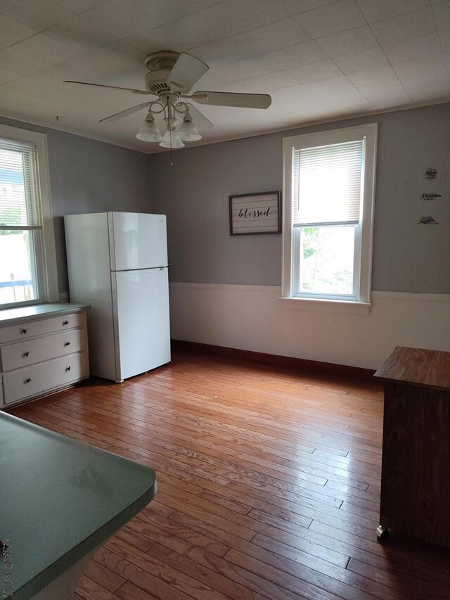 1196 Linwood Ave, Johnstown, PA 15902 - photo 10