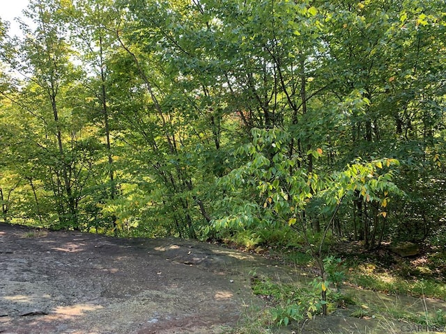 Shenkelview Dr, Johnstown, PA 15905