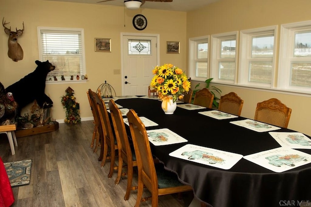 dining room with ceiling fan and dark hardwood / wood-style flooring