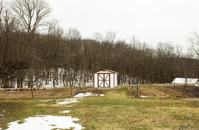 view of yard featuring a storage shed