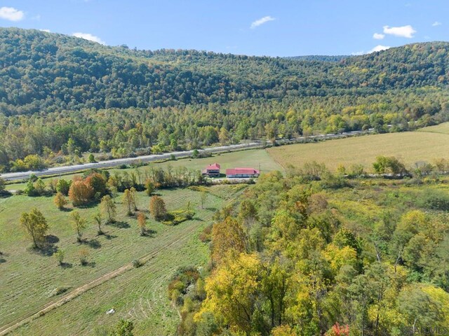 drone / aerial view with a rural view