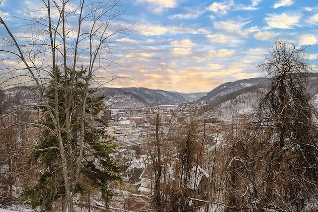 property view of mountains