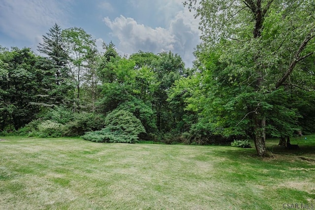 238 Tall Timber Dr, Johnstown, PA 15904 - photo 40