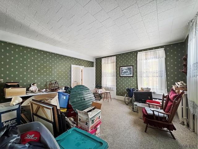 521 N Julian St, Ebensburg, PA 15931 - view of storage