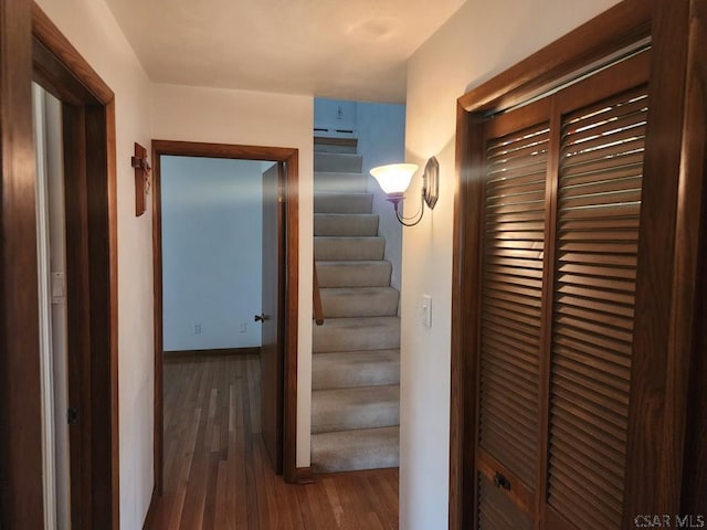 hallway featuring dark hardwood / wood-style flooring