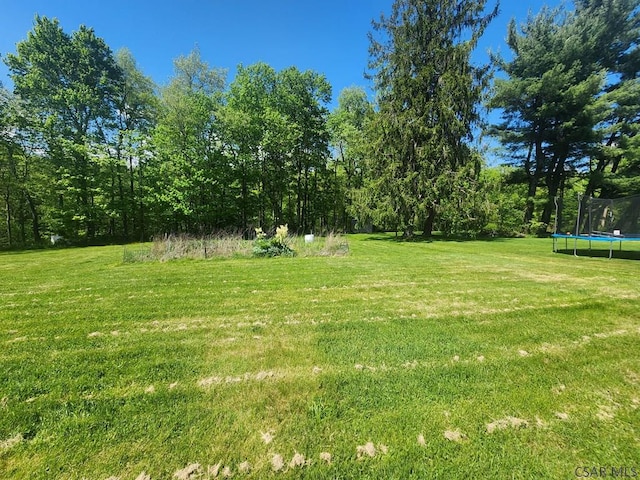 view of yard with a trampoline