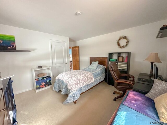 bedroom featuring carpet