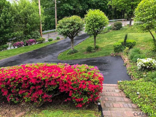 view of property's community featuring a lawn