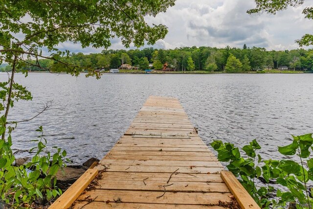 view of dock with a water view