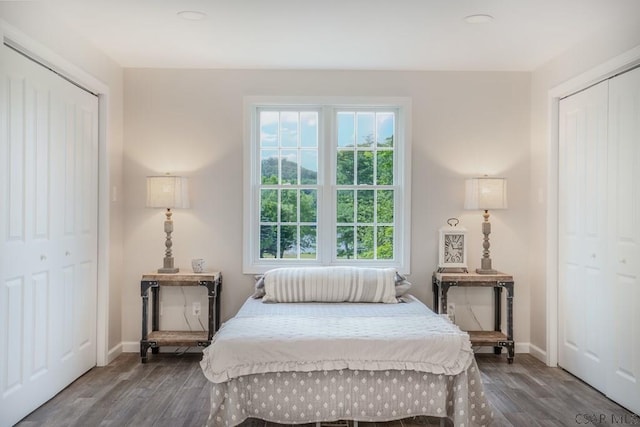 bedroom featuring multiple closets and wood-type flooring