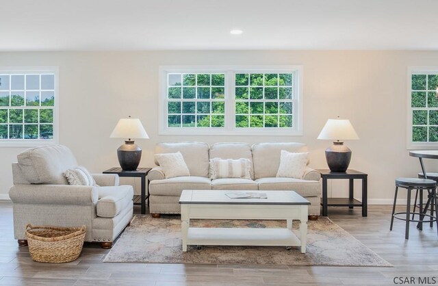 living room featuring hardwood / wood-style flooring and plenty of natural light