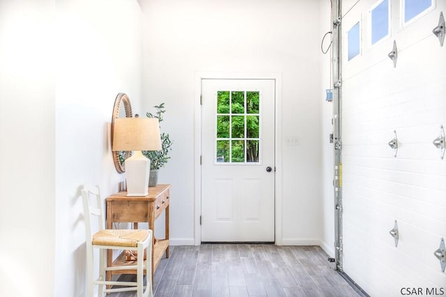 entryway featuring hardwood / wood-style flooring