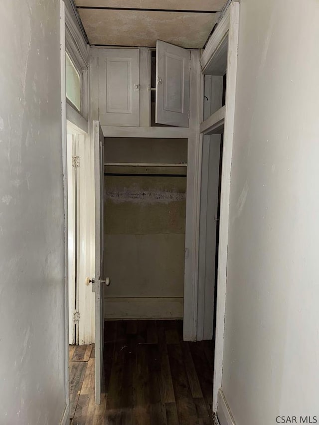 hallway featuring dark wood-style flooring