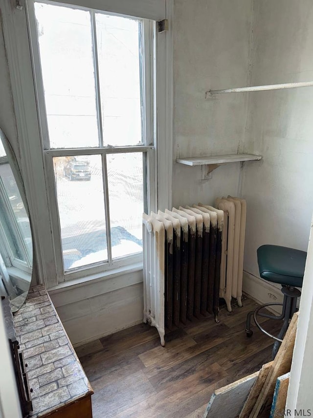 details featuring radiator heating unit and wood finished floors