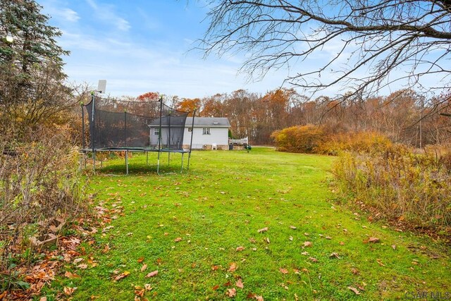 view of yard featuring a trampoline