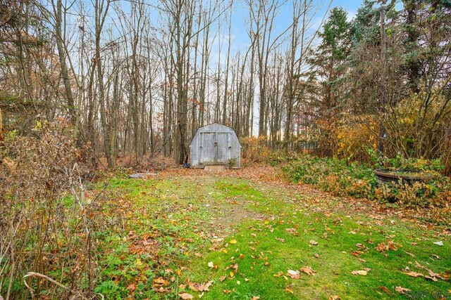 view of yard with a shed