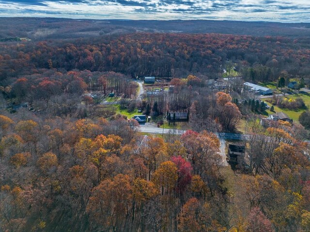 bird's eye view