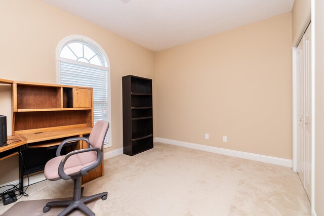 office area featuring light colored carpet