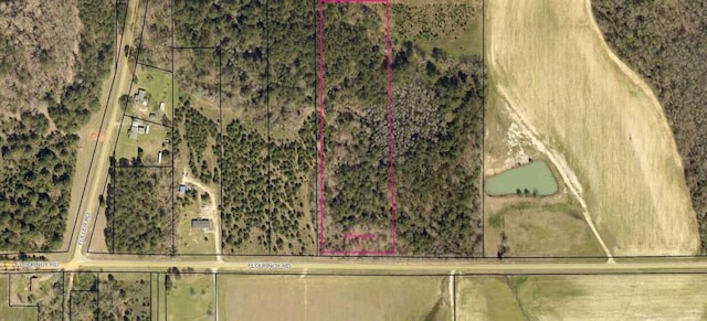 000 Flournoy Rd, Hawkinsville GA, 31036 land for sale